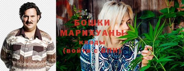 дживик Нефтекумск