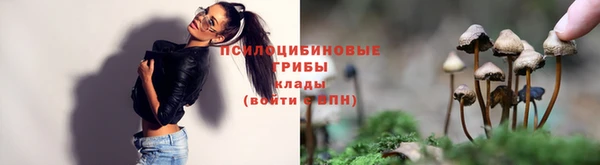 дживик Нефтекумск