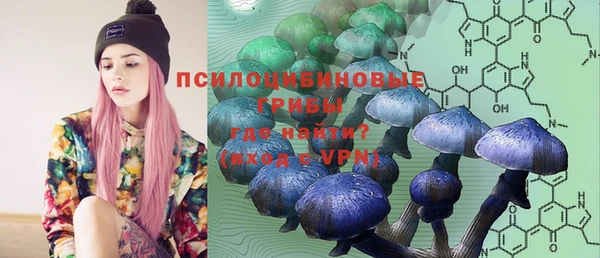 дживик Нефтекумск