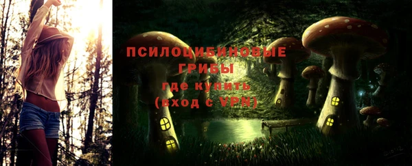 дживик Нефтекумск