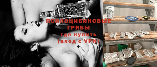 дживик Нефтекумск