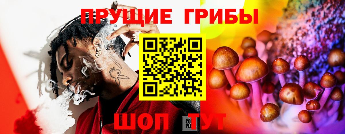 Галлюциногенные грибы Magic Shrooms  Вход с VPN  Севастополь  Псилоцибиновые грибы мицелий 